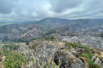 Ceske Svajciarsko otvorilo tri roky po poziari atraktivnu Edmundovu tiesnavu