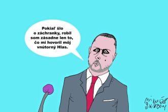 Karikatura dna Zasada