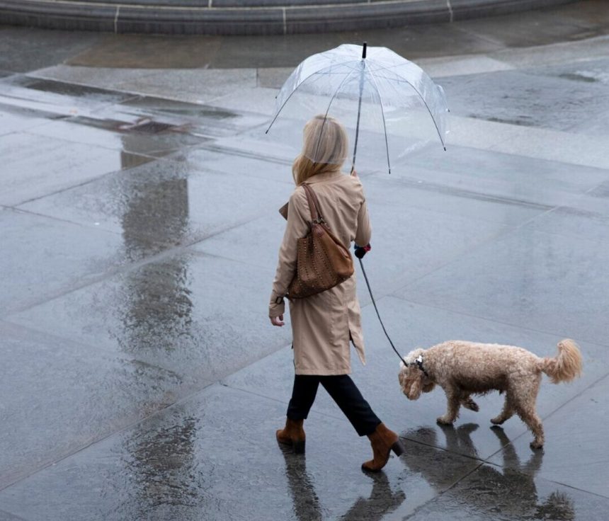 Na celom uzemi Slovenska sa moze vyskytnut dazd