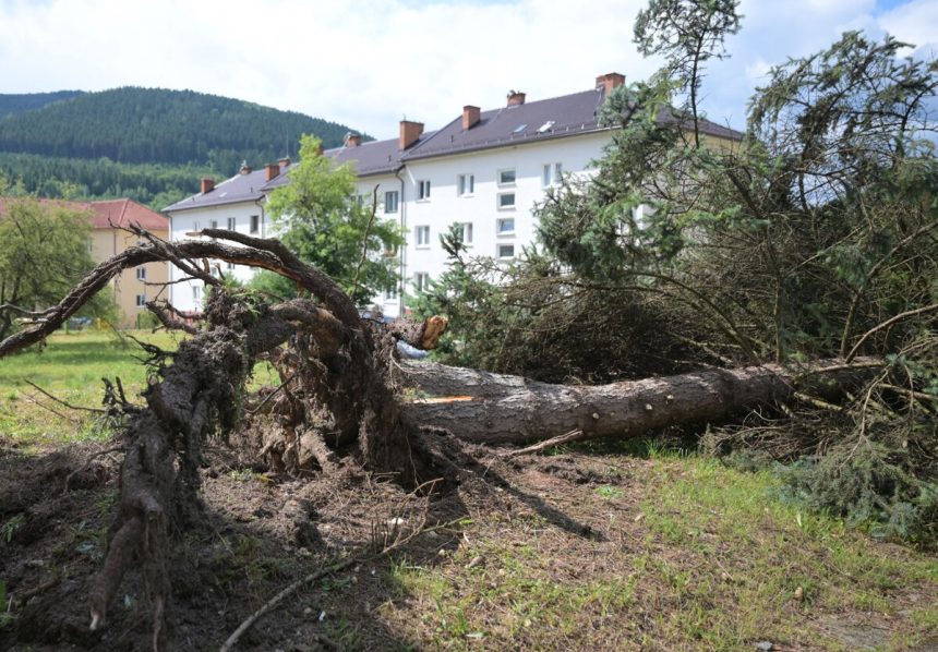 Obce zasiahnute vetrom dostali 400 tisic eur
