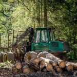 Slovensko bude v tazbe dreva pokracovat tvrdi Taraba