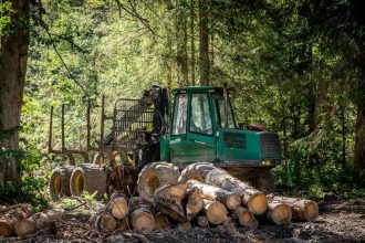 Slovensko bude v tazbe dreva pokracovat tvrdi Taraba