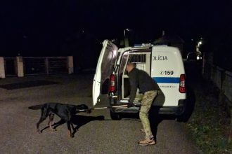 Agresivny doberman v Ziline zautocil na majitelku