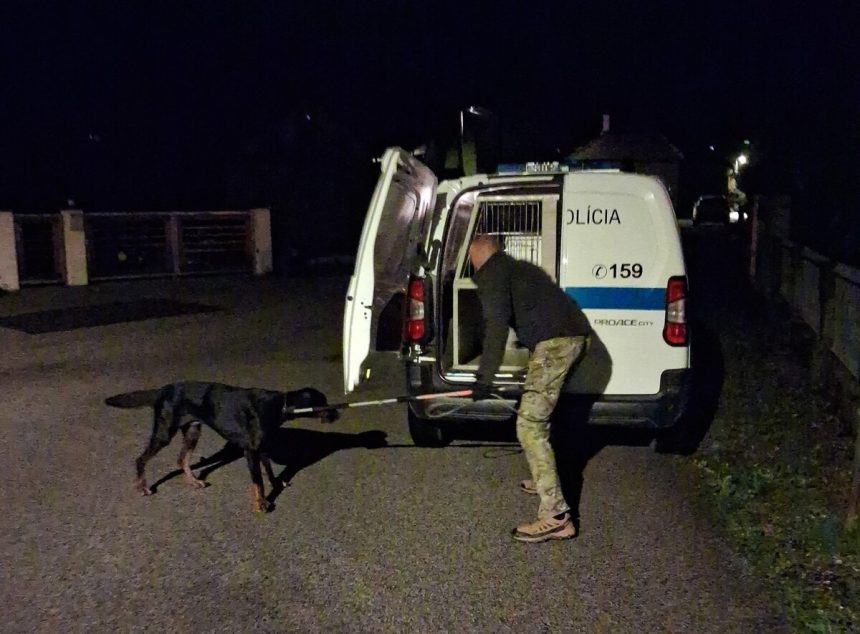 Agresivny doberman v Ziline zautocil na majitelku