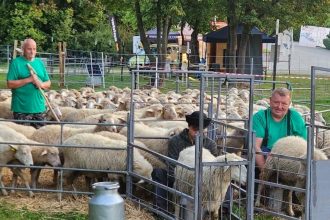 Agrokomplex ponukne ochutnavky kralici hop a jazdecke ukazky
