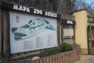 Dlhorocna krivda nakoniec protest Vlastnici pozemkov pod zoo sa dockali planu vykupu