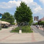 Michalovce zavadzaju jednotny poplatok za MS