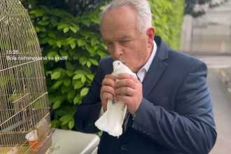 S odchodom Radacovskeho na Cyprus vraj SNS nic nema Michelko vidi dohodu so Smerom
