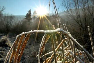 Vo vacsine okresov sa ma v noci vyskytnut mraz