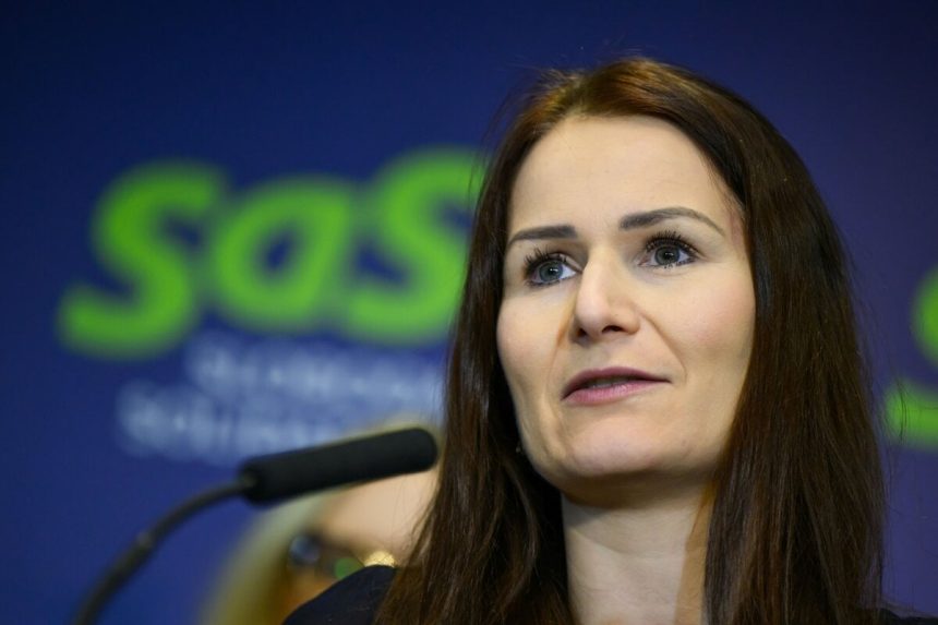 Gaspar to chcel dat na Danka a utiect z miesta nehody Navyse soferoval v slapkach tvrdi SaS