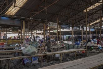 Hladom je v Konzskej demokratickej republike postihnutych 27 milionov ludi