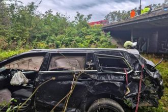 Na D2 auto prerazilo zvodidla a spadlo