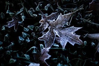 Pocas poslednych noci a ran mrzlo na vacsine uzemia najtuhsie v Ciernom Balogu