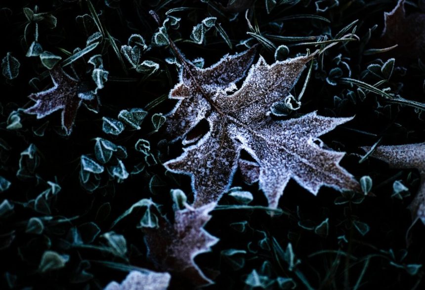 Pocas poslednych noci a ran mrzlo na vacsine uzemia najtuhsie v Ciernom Balogu