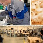 Rebricek TOP 100 firiem okresu Topolcany odhaluje lidrov