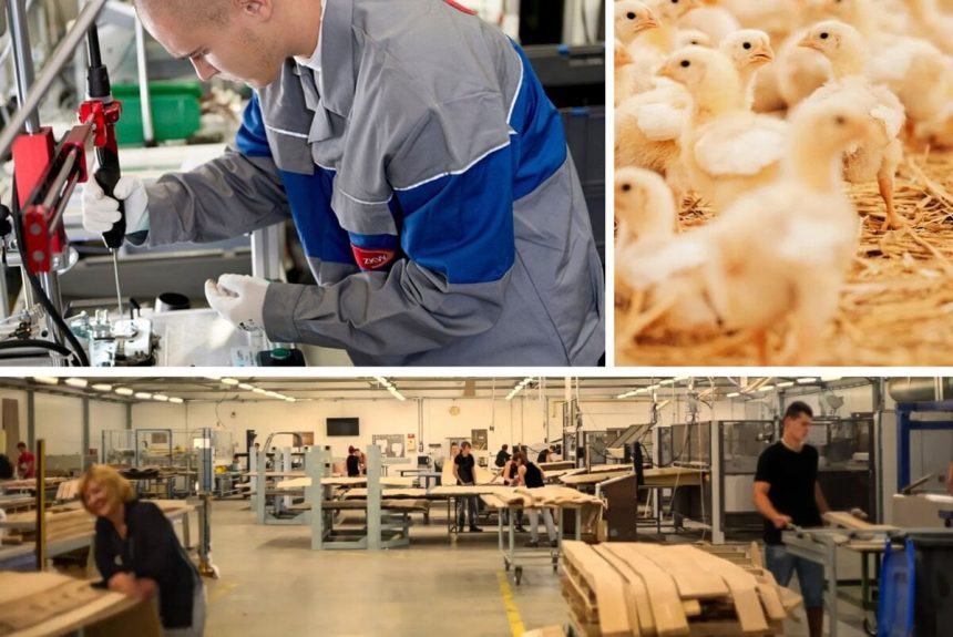 Rebricek TOP 100 firiem okresu Topolcany odhaluje lidrov