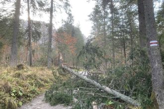 Vietor v noci v Tatrach vyvracal stromy