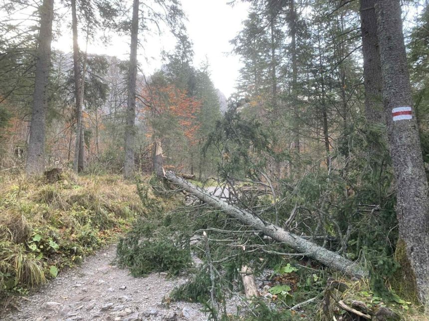 Vietor v noci v Tatrach vyvracal stromy