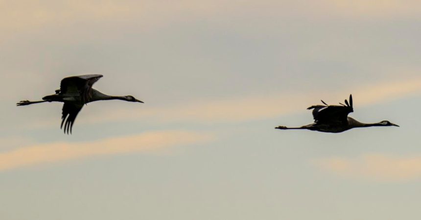 Vikend Umenie jablka a jesenne vibracie ovladaju Slovensko