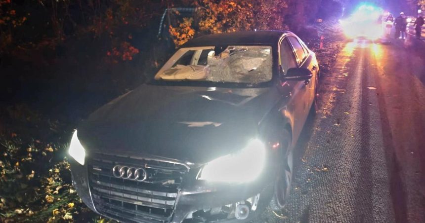 Chodkyna v tmavom obleceni neprezila zrazku s autom Policia patra po jej totoznosti