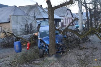 FOTO Jazdu vodicky ukoncil celny naraz do stromu previezli ju do nemocnice