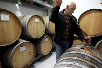 Globalna produkcia vina tento rok vzrastla ale pod priemerom