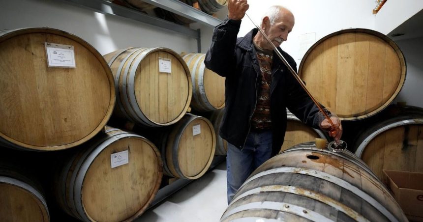 Globalna produkcia vina tento rok vzrastla ale pod priemerom