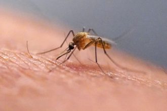 Kuba bojuje s epidemiou choroby chikungunya nedostatkom liekov a potravin