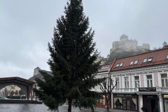 Mierovemu namestiu v Trencine dominuje 14 metrov vysoky smrek V centre bude do Troch kralov