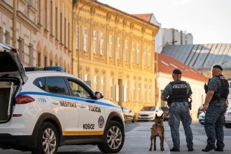 Pavelcak Stat chce riesit problemy na ukor policie