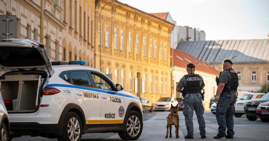 Pavelcak Stat chce riesit problemy na ukor policie