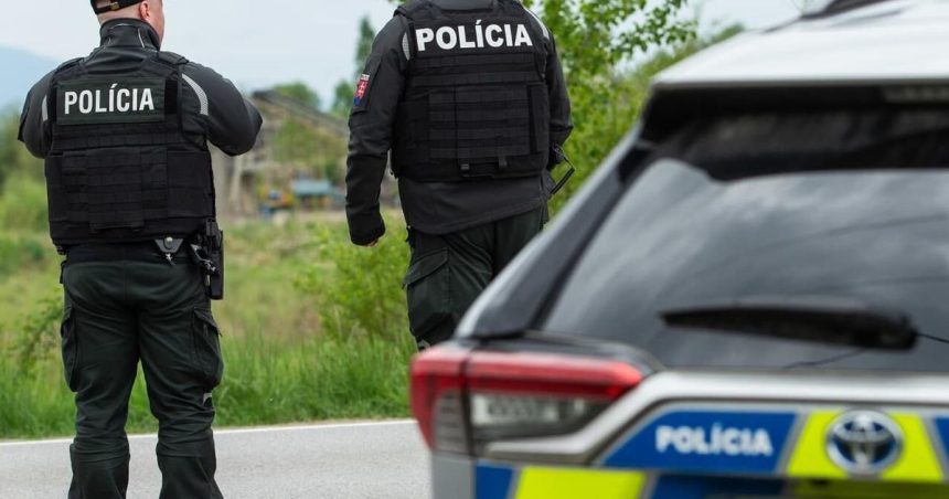 Po kradezi kabelky zhodil dochodkynu na zem