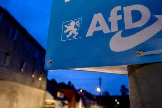 Prieskum Vacsina Nemcov povazuje AfD za blizku Rusku