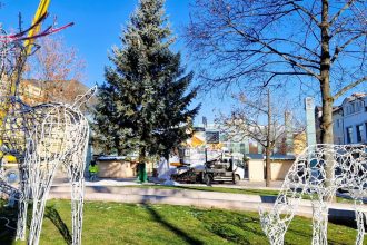 Rastol 26 rokov v zahrade teraz ziari v centre Martin ma svoj vianocny strom