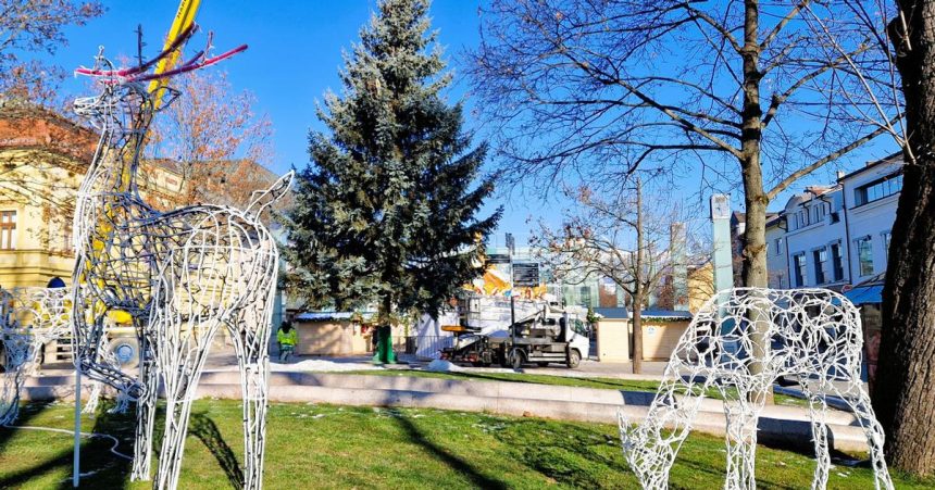 Rastol 26 rokov v zahrade teraz ziari v centre Martin ma svoj vianocny strom