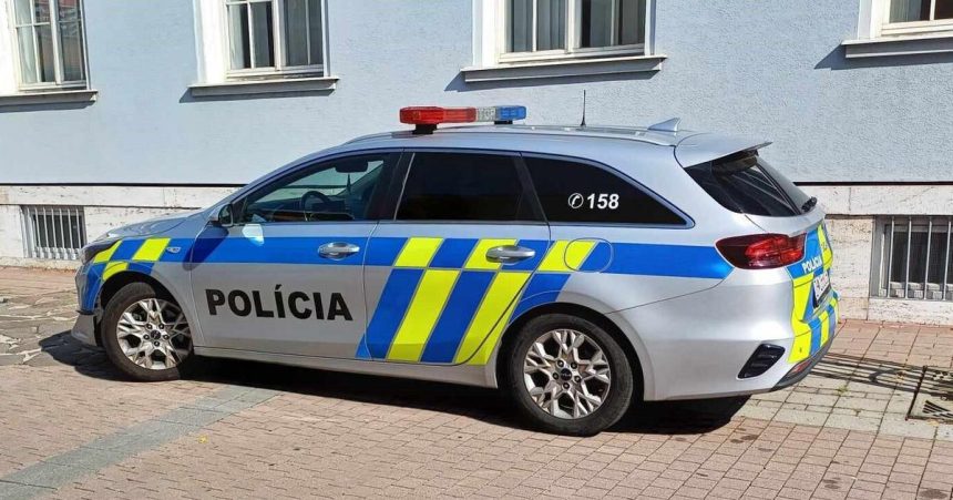 Vinia ho zo zabitia muza bez domova