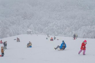 Dopravny podnik v Bratislave planuje zimnu sezonu linky 144