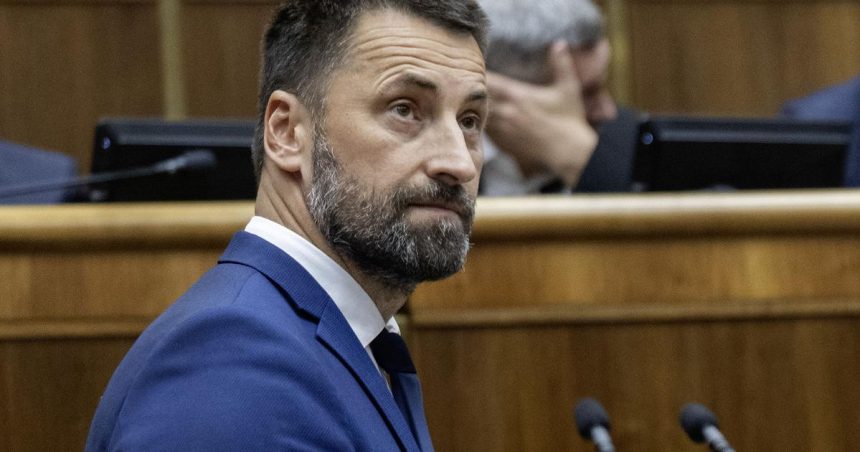 ENERGETIKA SaS kritizuje vladu za chaos v energopomoci