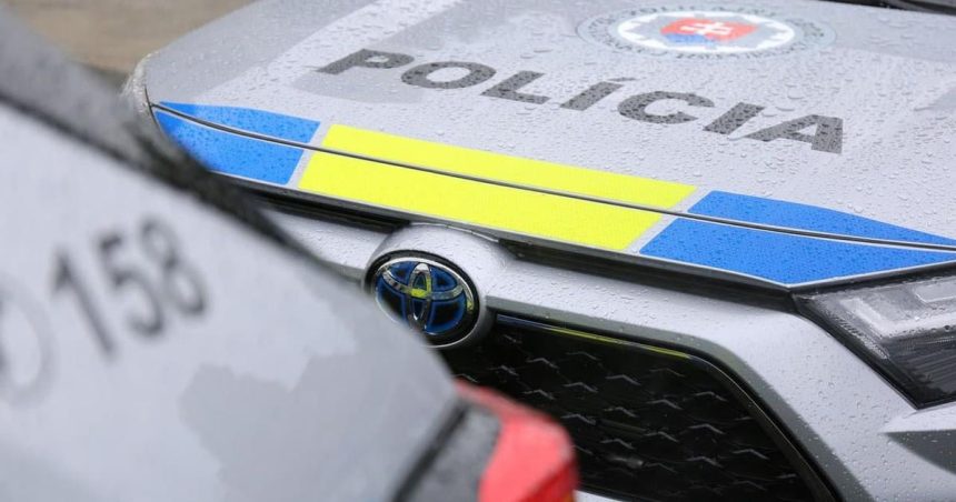 Policia v Bratislave ziada o pomoc pri identifikacii zlodejov