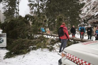 Silny vietor v Ziarskej doline zvalil strom na turistov