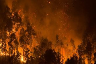 Cile Rozsiahle lesne poziare si uz vyzadali najmenej 20 obeti