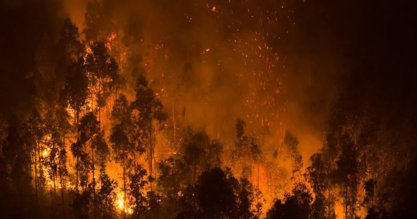 Cile Rozsiahle lesne poziare si uz vyzadali najmenej 20 obeti