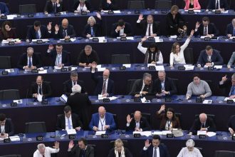 Dohoda s Mercosurom Slovenski europoslanci pozaduju zaruky pre farmarov a pracovnikov