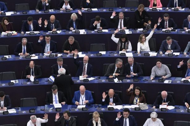 Dohoda s Mercosurom Slovenski europoslanci pozaduju zaruky pre farmarov a pracovnikov