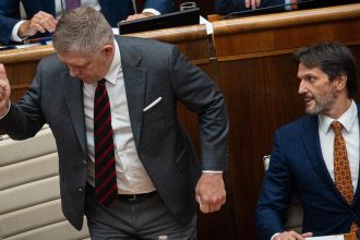 Fico by naozaj mal pocuvat OECD a nepouzivat navstevu len na marketing