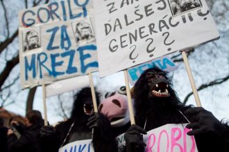 Kauza Gorila ma 20 rokov policia vysetruje