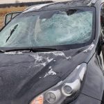 Kus ladu odletel z kamiona a zranil spolujazdkynu