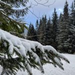 SHMU upozornil na snehove jazyky a zaveje na zapade Slovenska