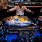 Tuniak modroplutvy sa na novorocnej aukcii v Tokiu predal za 273 miliona eur