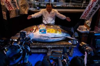 Tuniak modroplutvy sa na novorocnej aukcii v Tokiu predal za 273 miliona eur